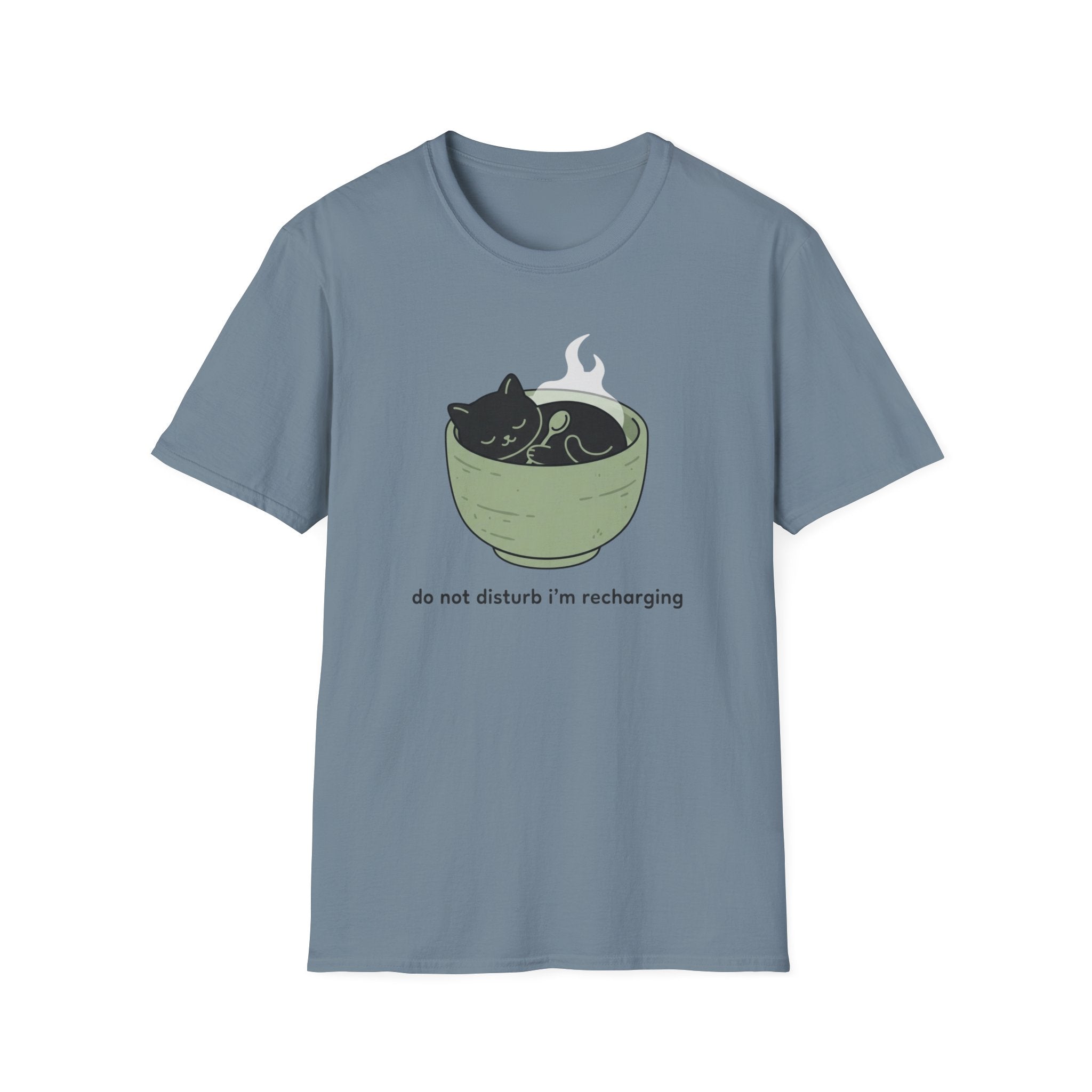 Do Not Disturb I'm Recharging T-Shirt
